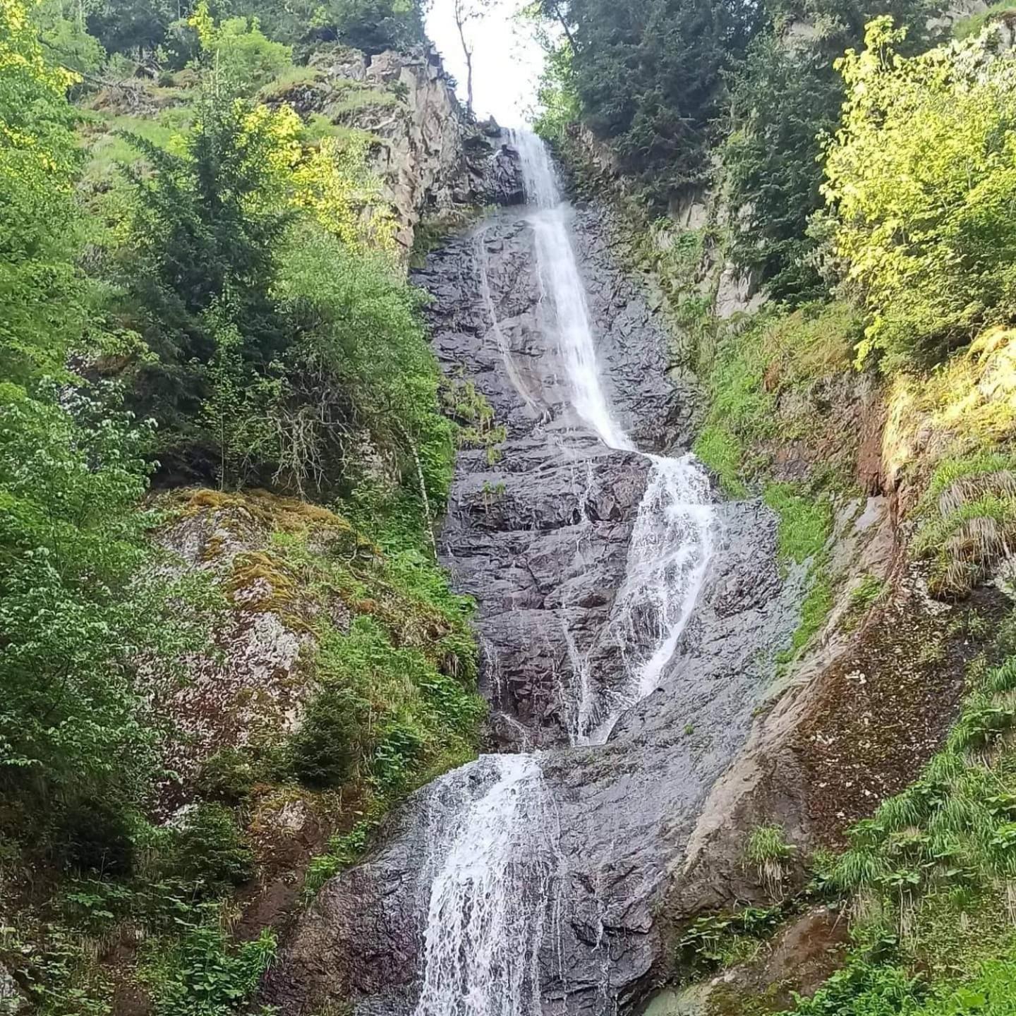 Paata'S Guesthouse Borjomi Bagian luar foto